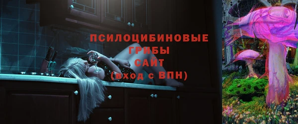apvp Горняк