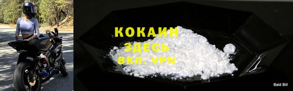 apvp Горняк