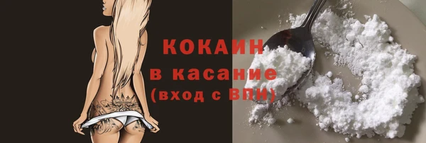apvp Горняк