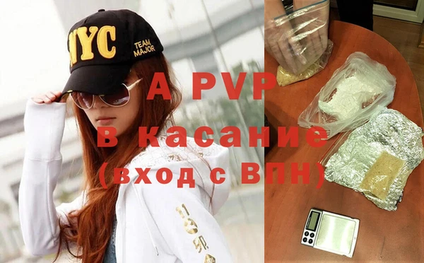 apvp Горняк